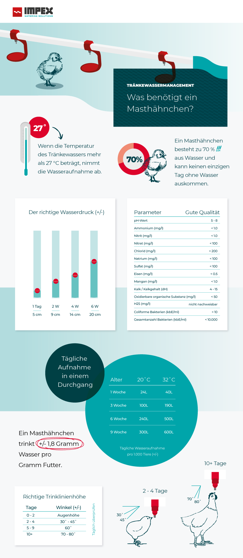 Masthähnchen Tränkewassermanagement