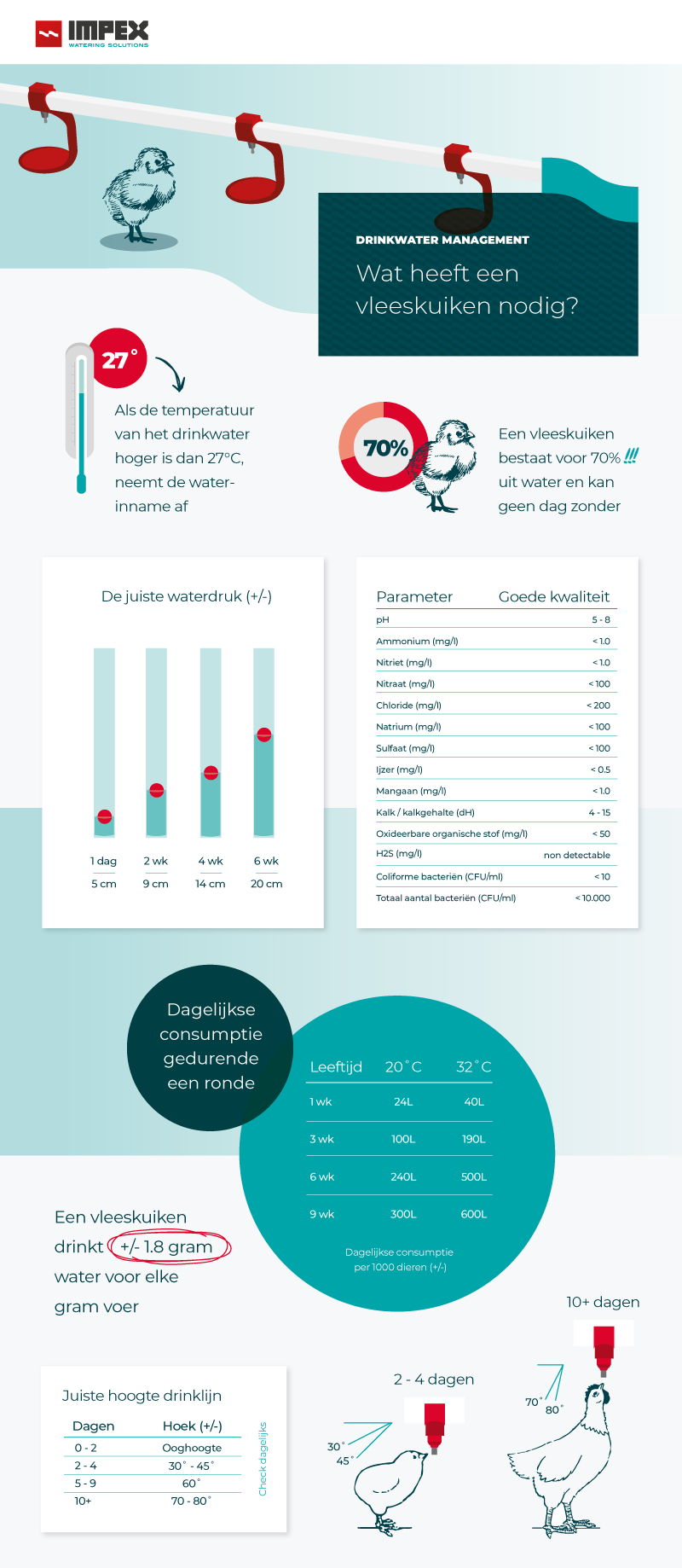 Vleeskuiken drinkwater management infographic