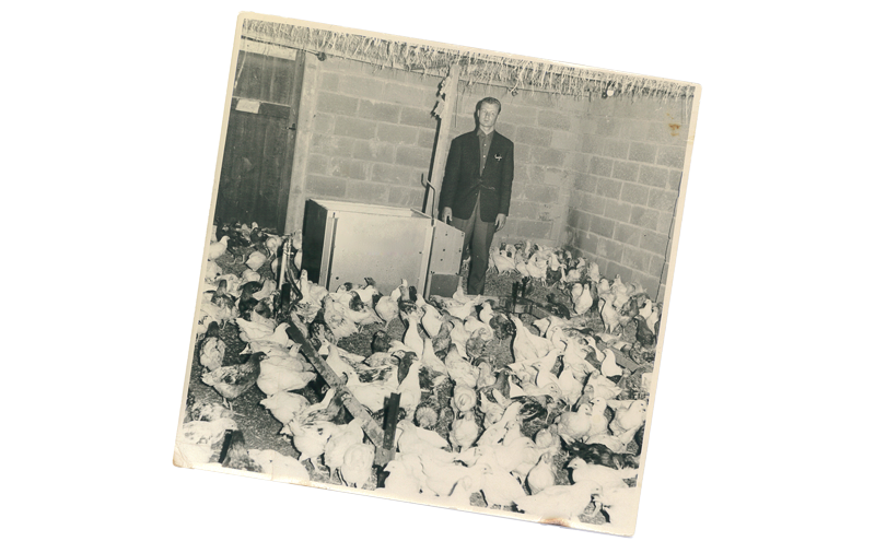 Historie Impex Barneveld