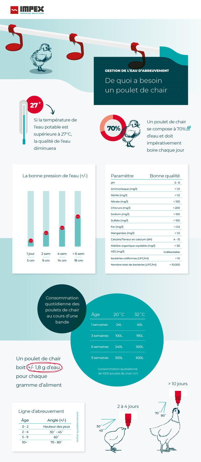 Infographie sur la gestion de l'eau d'abreuvement des poulets de chair