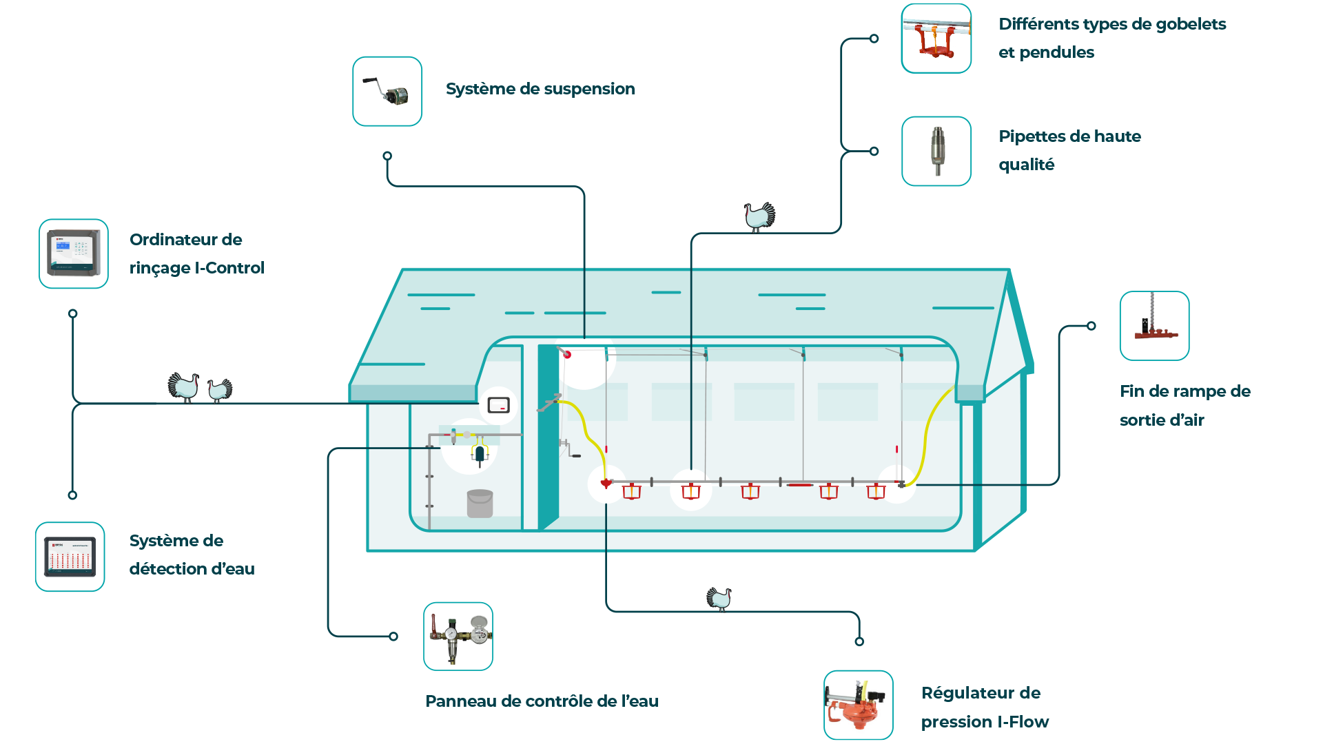 Impex dindes systeme d'abreuvement
