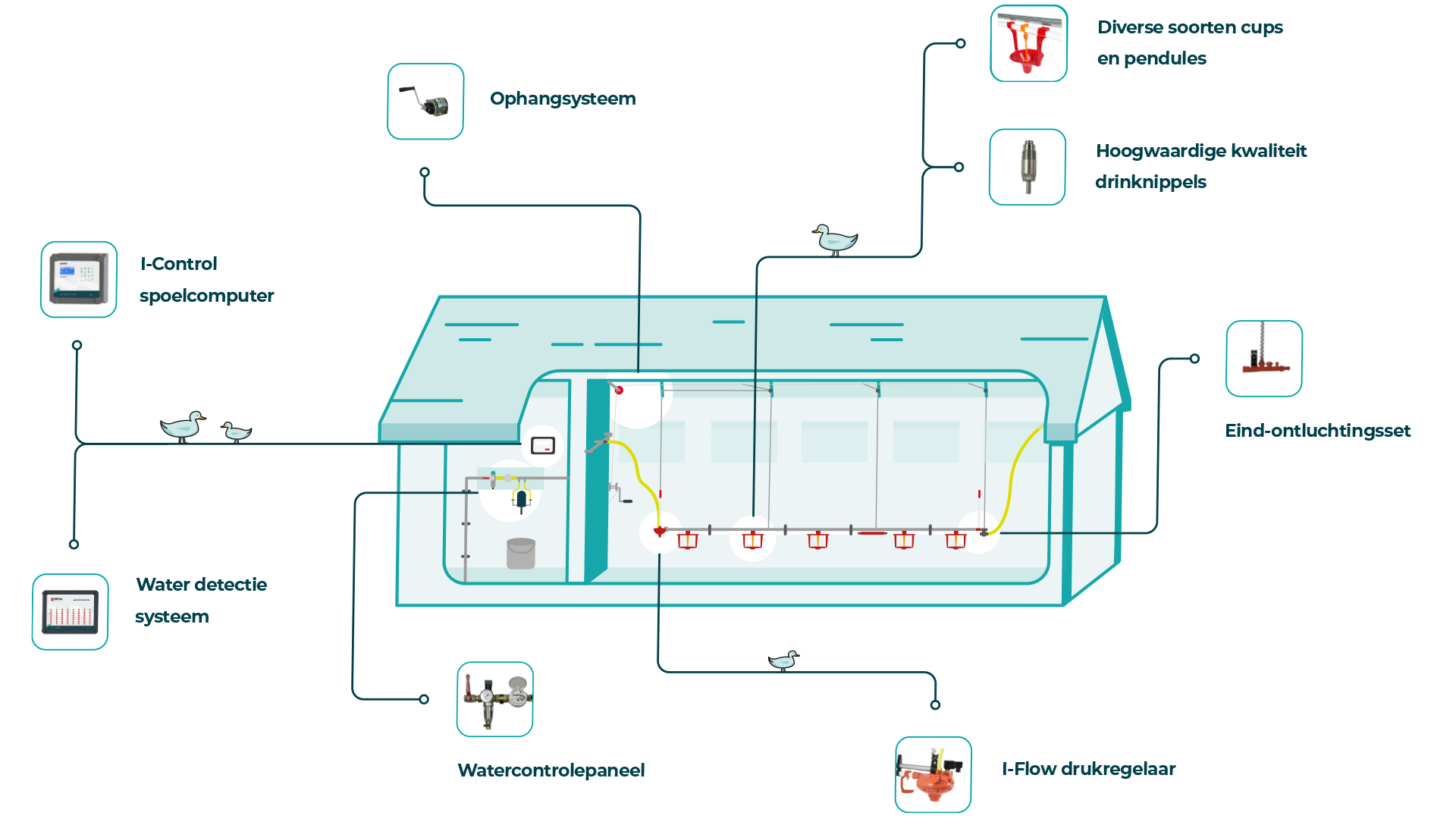 Impex eenden drinkwatersysteem