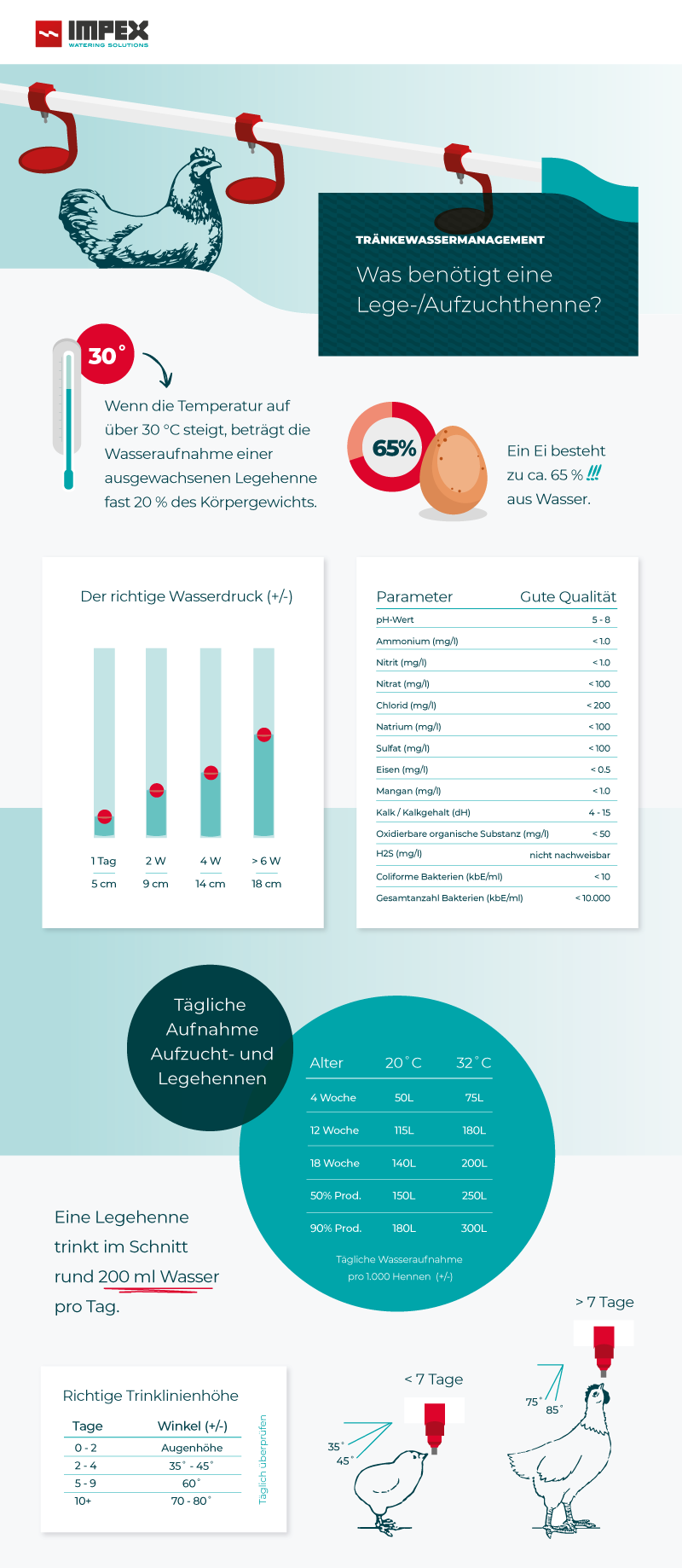 Legehenne Tränkewassermanagement