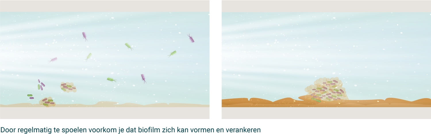Voorkom de vorming van biofilm